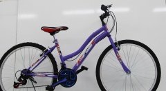 Dorello bisiklet 2600 model 26 jant bisiklet Şehir bisikleti Düz yol Şehir bisikleti Günün firsatina  PEMBE BİSİKLET