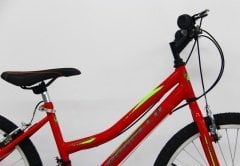 Dorello bisiklet 2440 model 24 jant bisiklet Şehir bisikleti bayan bisikleti