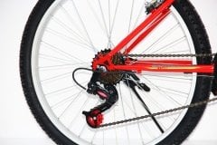 Dorello bisiklet 2440 model 24 jant bisiklet Şehir bisikleti bayan bisikleti