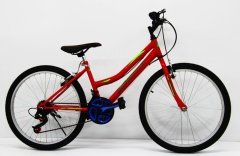 Dorello bisiklet 2440 model 24 jant bisiklet Şehir bisikleti bayan bisikleti