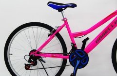 2640 dorello bisiklet bayan kadro pembe bisiklet pembe model