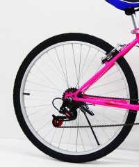 2640 dorello bisiklet bayan kadro pembe bisiklet pembe model