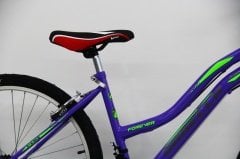 2641 dorello bisiklet önden amortisörlü bisiklet bayan kadro bisiklet