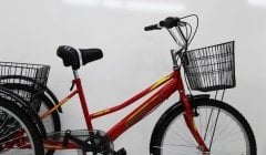 Dorello Bisiklet Kırmızı Cargo Bisikleti 2960 Üç Tekerlekli Sepetli Yük bisikleti Pazar bisikleti