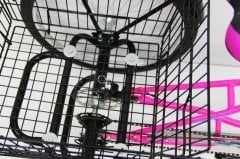 pembe Dorello Bisiklet Cargo Bisikleti 2960 Üç Tekerlekli Sepetli Yük bisikleti Pazar bisikleti sahil bisikleti yük bisikleti taşıma bisikleti kargo bisikleti