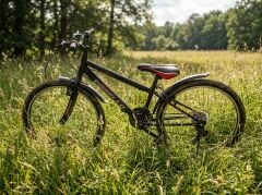 DORELLO 24 Jant Canel Kadro Spor Bisiklet 2440