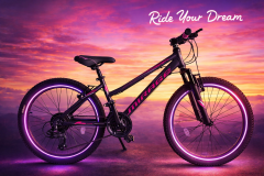 Ümit Bisiklet Model  2466 Mirag Lady V Alüminyum