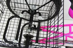 Cargo Bisiklet | Güçlü Taşıma, Pratik Kullanım Pembe Renk