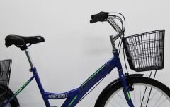 Dorello Cargo Bisiklet Yük Taşıma İçin İdeal Mavi Renk