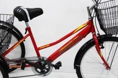 Dorello Cargo Şehir İçi Yük Taşıma Bisikleti Kırmızı Renk