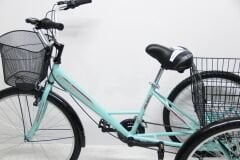 Dorello Cargo Bisiklet İş ve Günlük Kullanım Su Yeşil Renk