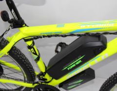 Dorello elektrikli bisiklet 48 volt L15 model  imalattan elektrikli bisiklet cargo transporter akülü bisiklet elektrikli