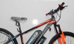 Dorello elektrikli bisiklet 48 volt L29 model  imalattan elektrikli bisiklet cargo transporter akülü bisiklet elektrikli