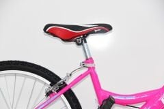 Dorello 24-Zoll-Citybike für Damen, Farbe Rosa