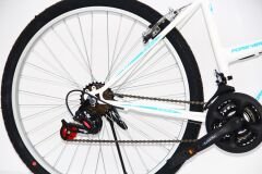Dorello 24-inch Women's City Bike: Elegant and Comfortable: Dorello Lday Bicycle