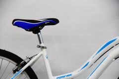 Dorello 24-inch Women's City Bike: Elegant and Comfortable: Dorello Lday Bicycle
