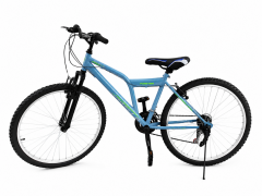 DORELLO 24-Zoll-Fahrrad mit Vorderradfederung, geeignet für Kinder und Erwachsene.