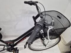 Dorello 3 Tekerlekli Kargo Bisikleti