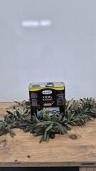 Dorello Erken Hasat Soğuk Sıkım Zeytinyağı | Doğal & Aromatik Lezzet 2 Litre